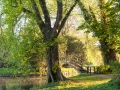 boogbrug, rivierenhof