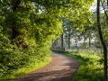 rivierenhof, wandelpad