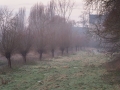 Abbey of Park (B)