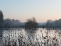 Abbey of Park (B)