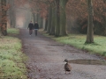 Abbey of Park (B)