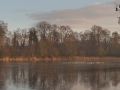 Abbey of Park (B)