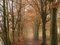 Abbey of Park (B)
