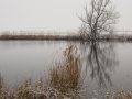 Sint-Margriete