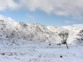 DSC0476-HDR