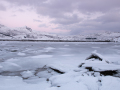 Lofoten (Norway)