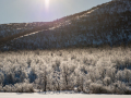 Varanger (Norway)